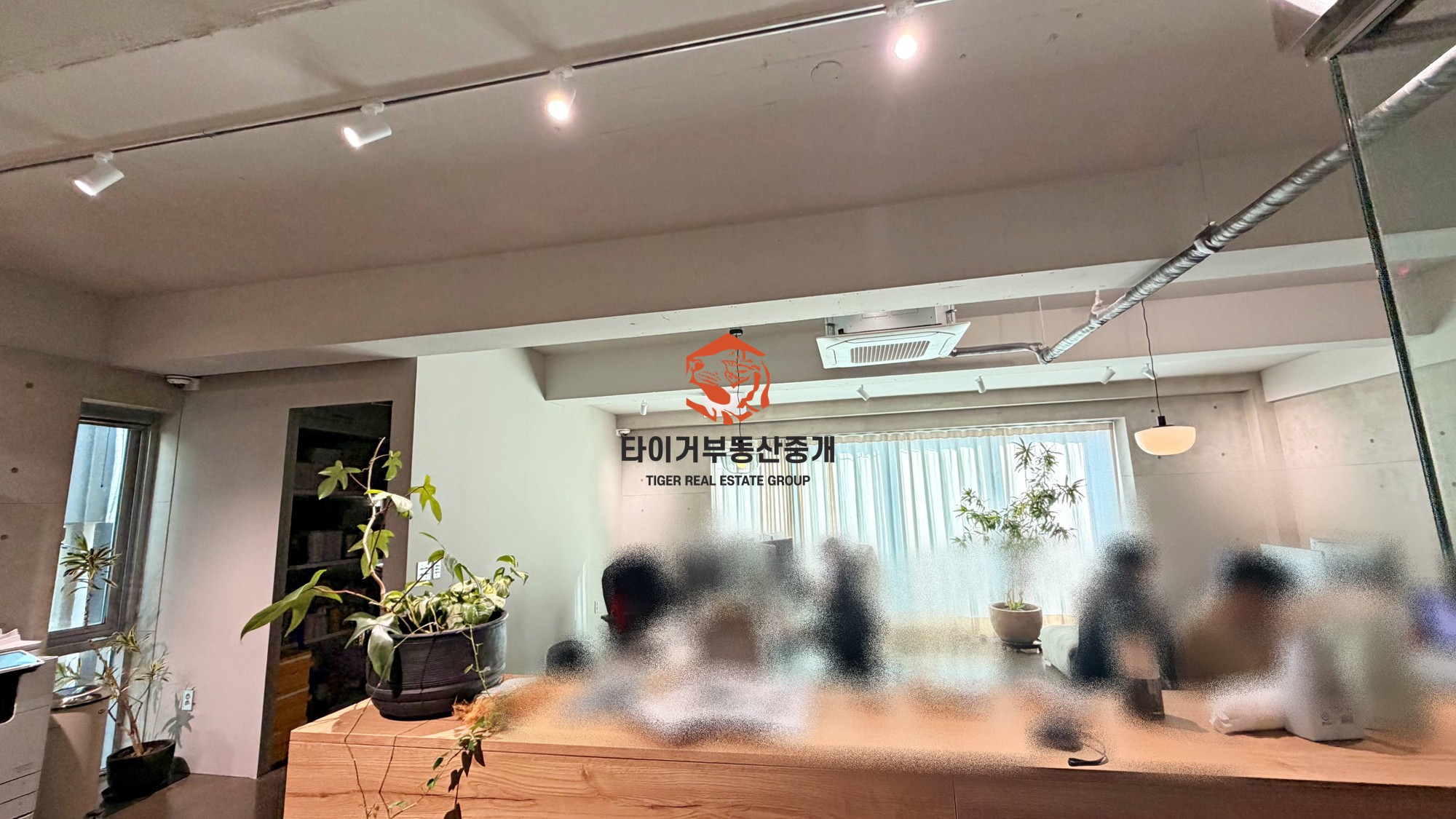 신사동 가로수길 특인테리어 사무실 채광 최강 사진 4
