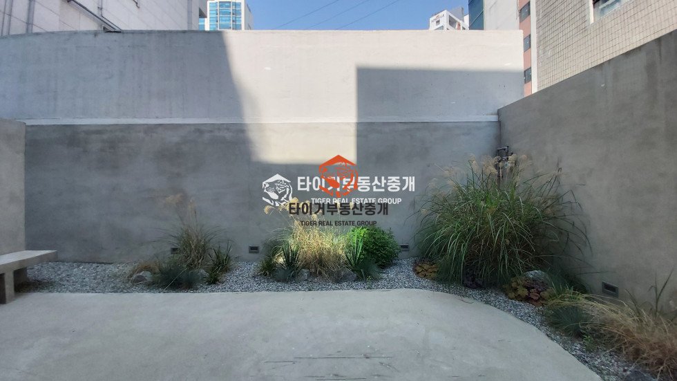 사진 2