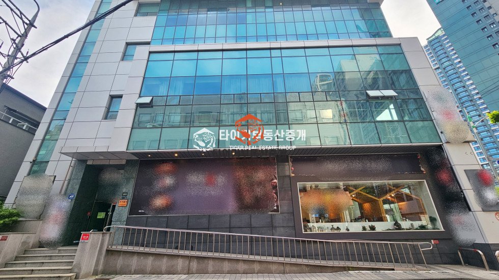 사진 12