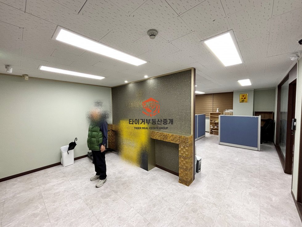 사진 11
