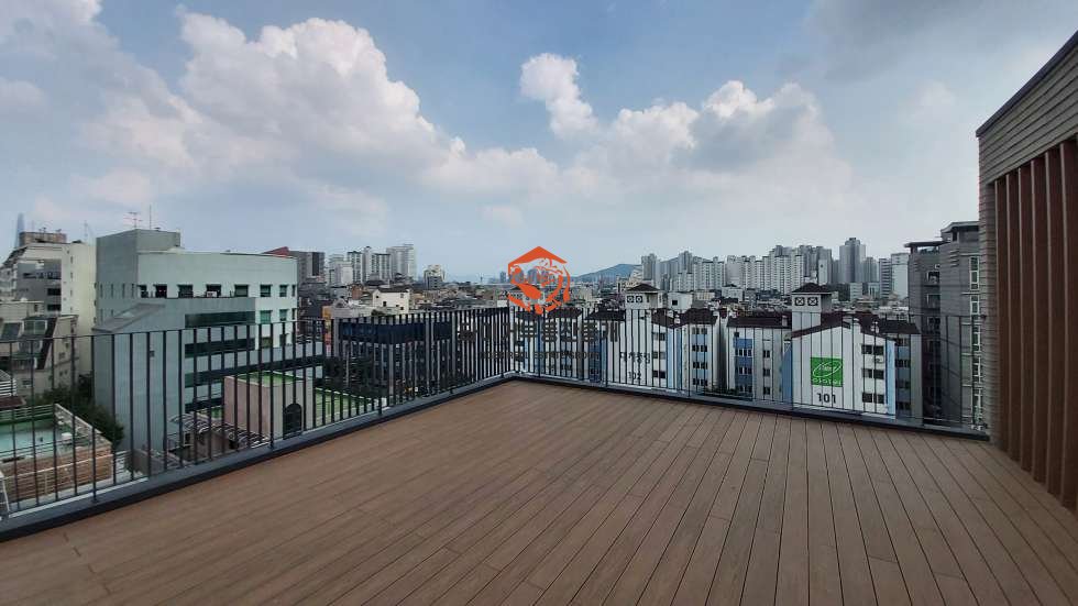 사진 5