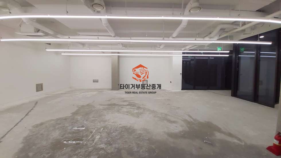 사진 12