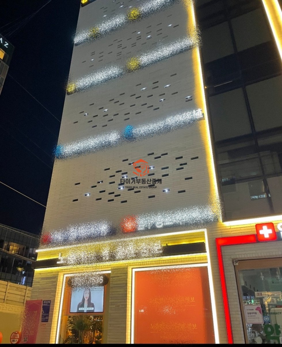 사진 13
