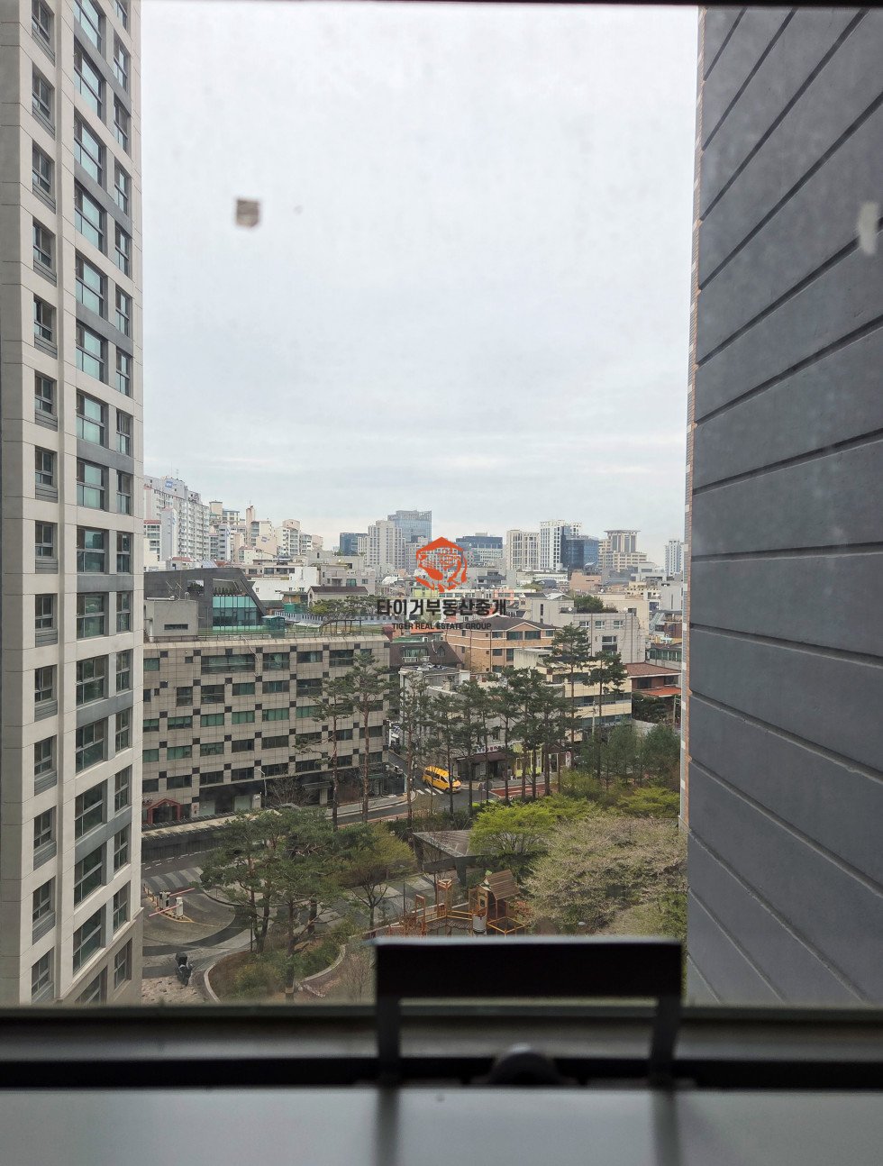 사진 11