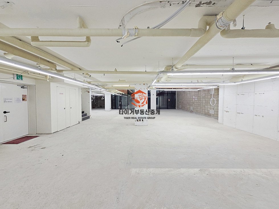 사진 17