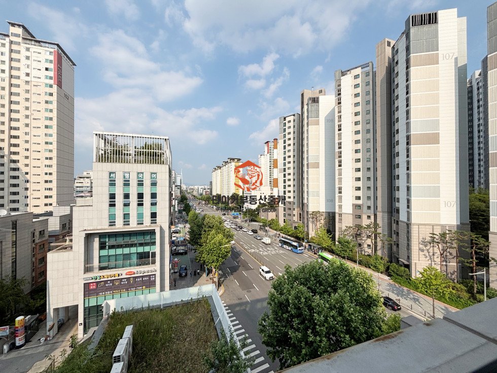 사진 13