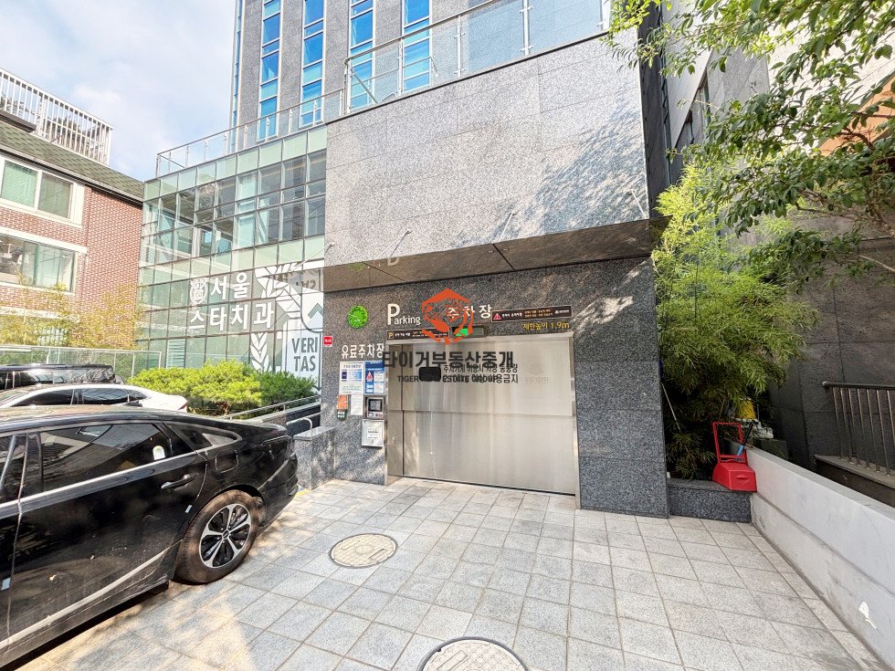 사진 15