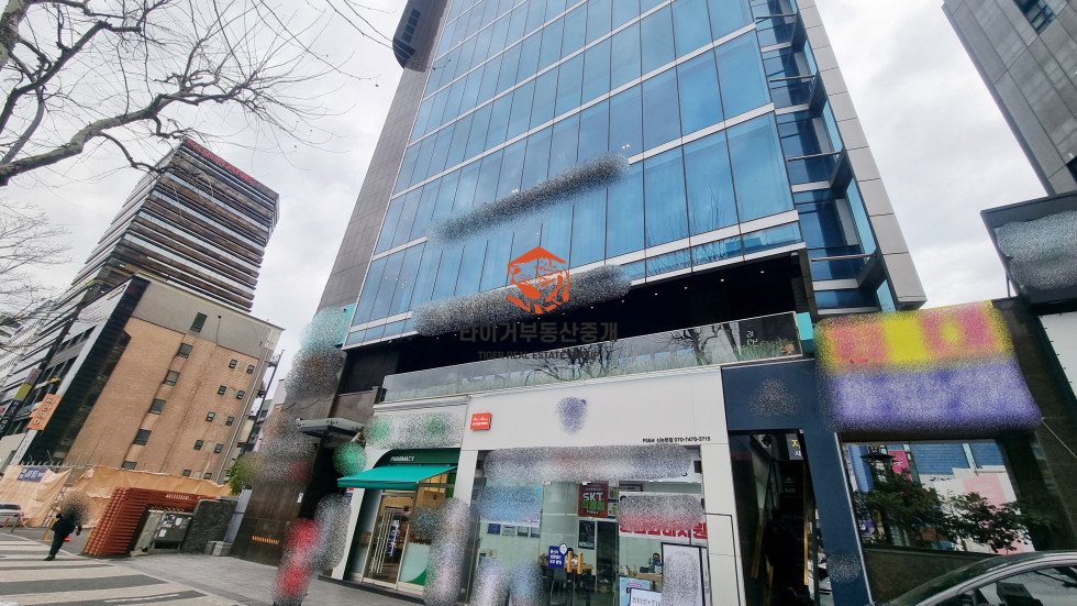 사진 10