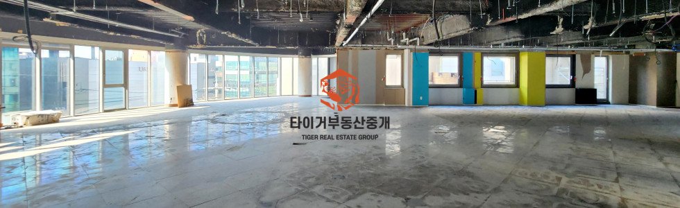 사진 3