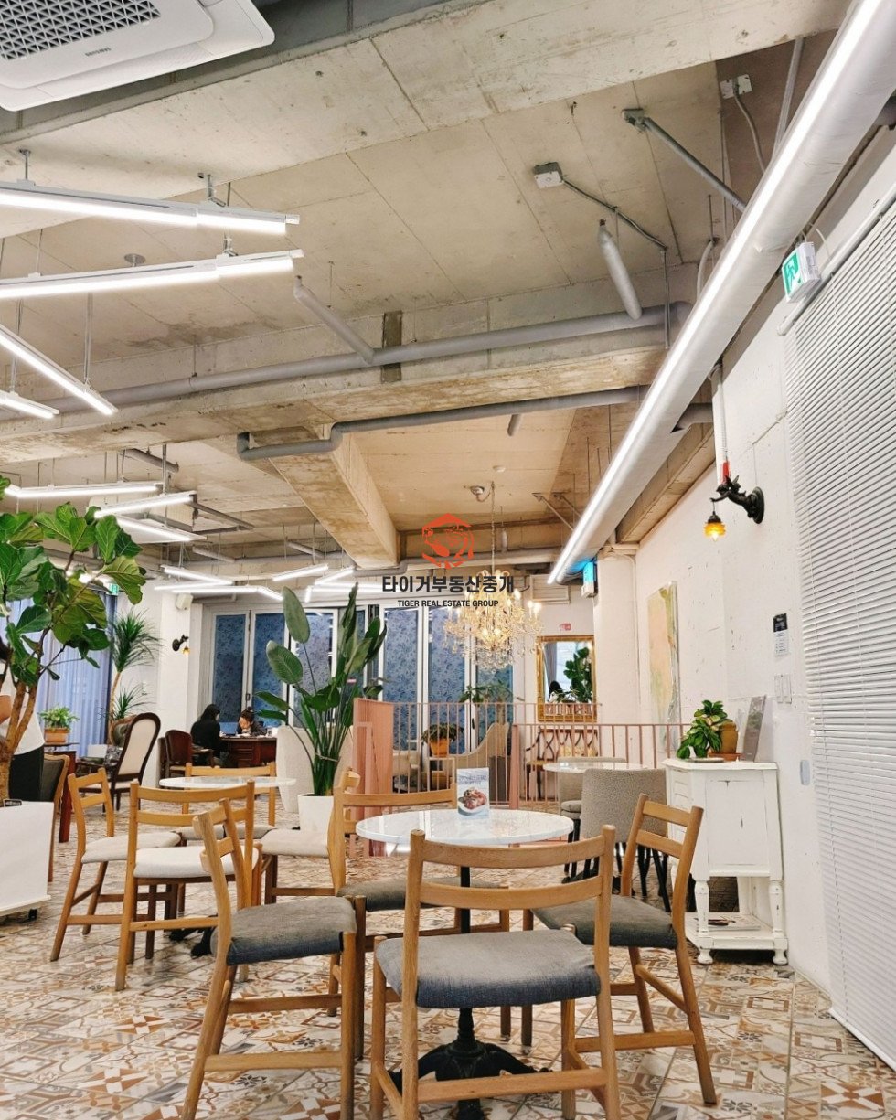 사진 4