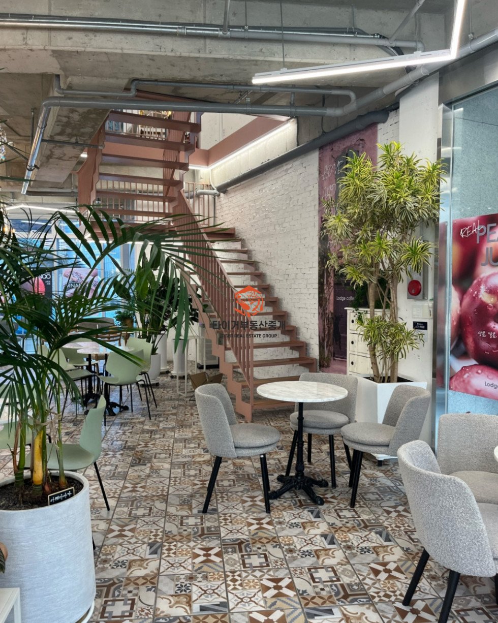 사진 5
