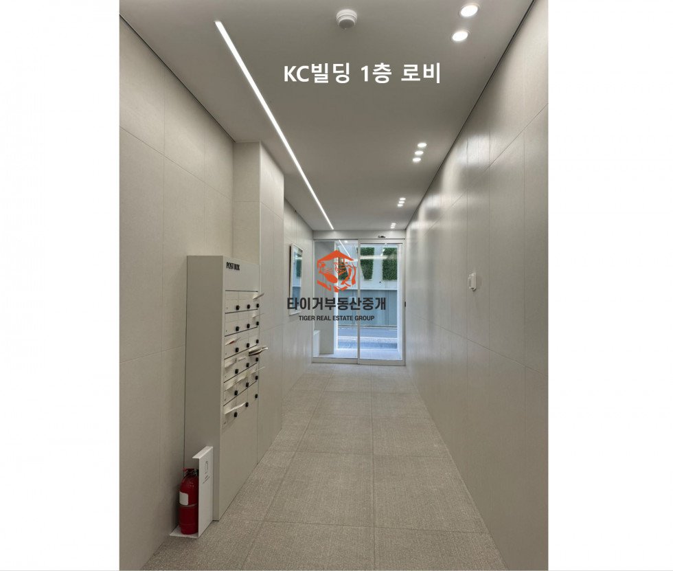사진 2