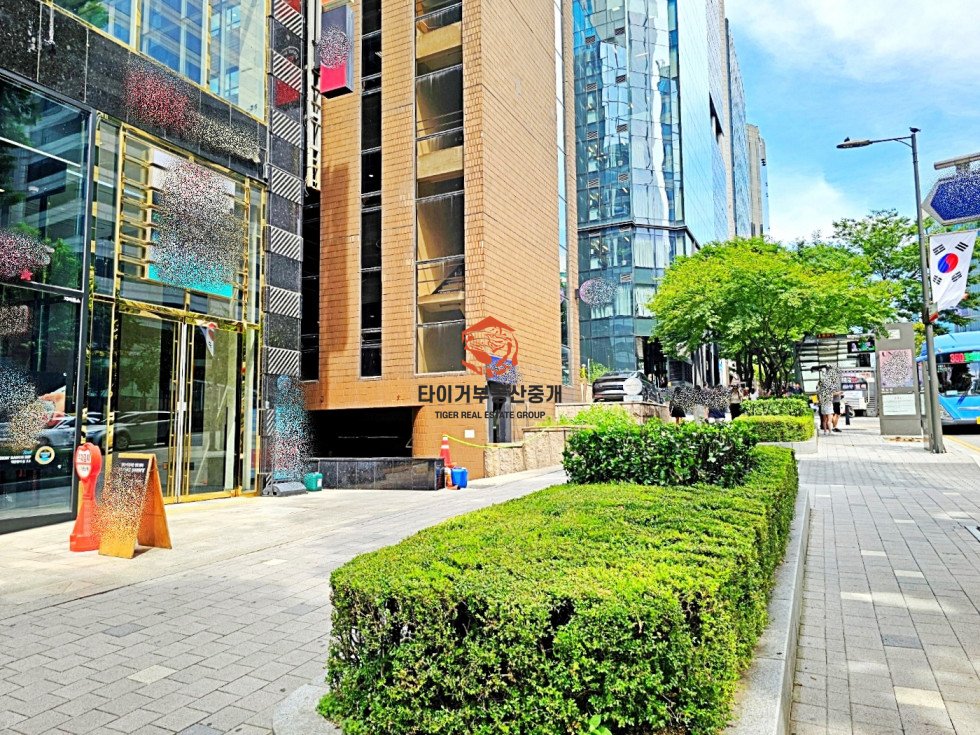사진 14