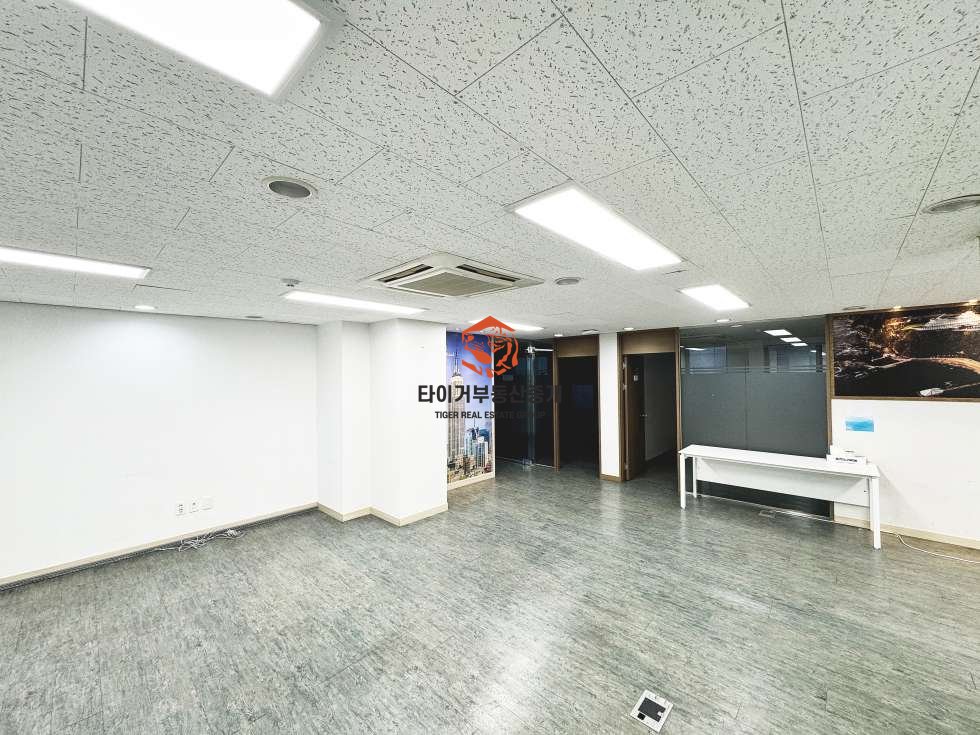 사진 8
