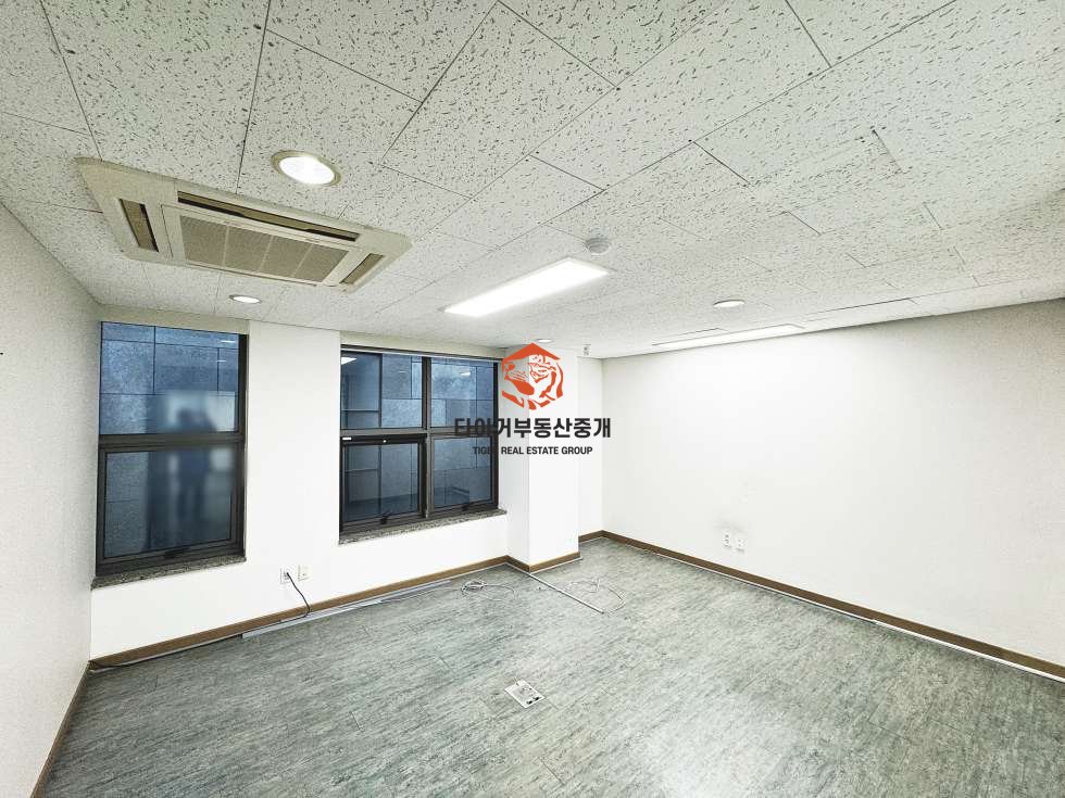 사진 15