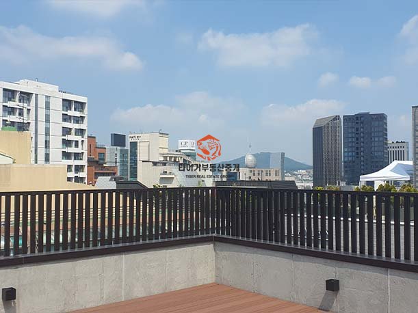 사진 17