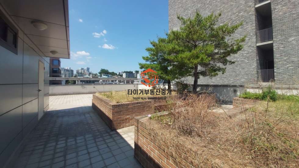 사진 12