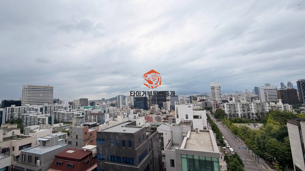 사진 2