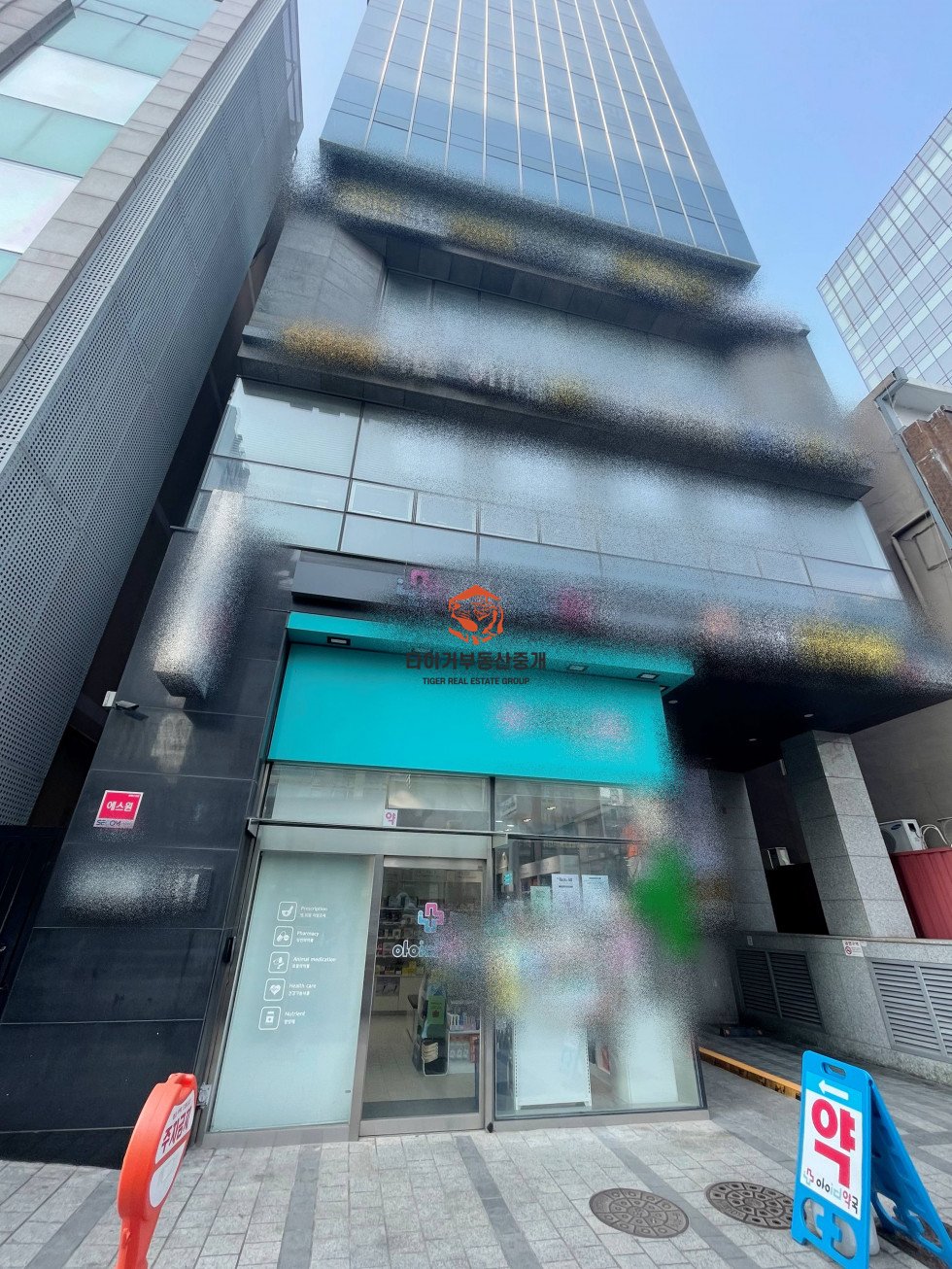 사진 12