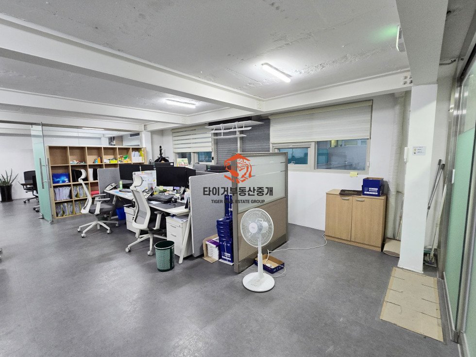 사진 17