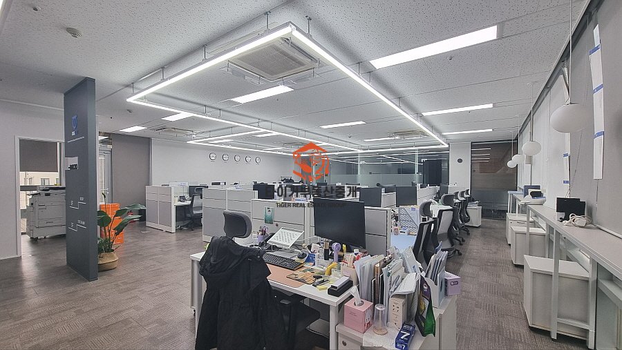 사진 11