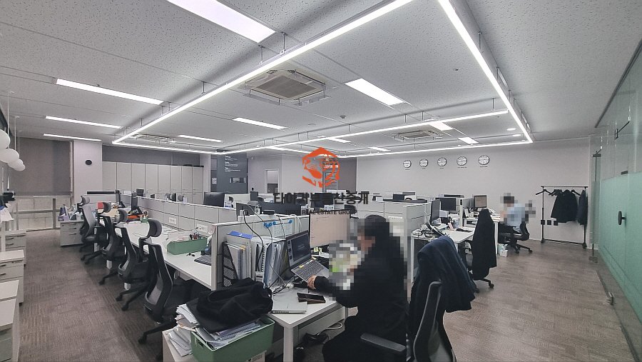 사진 12