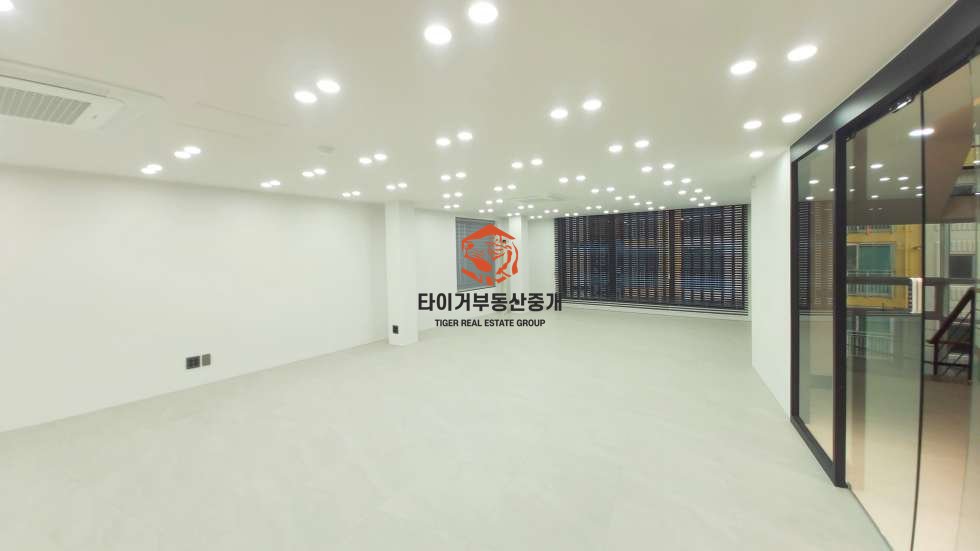 사진 11