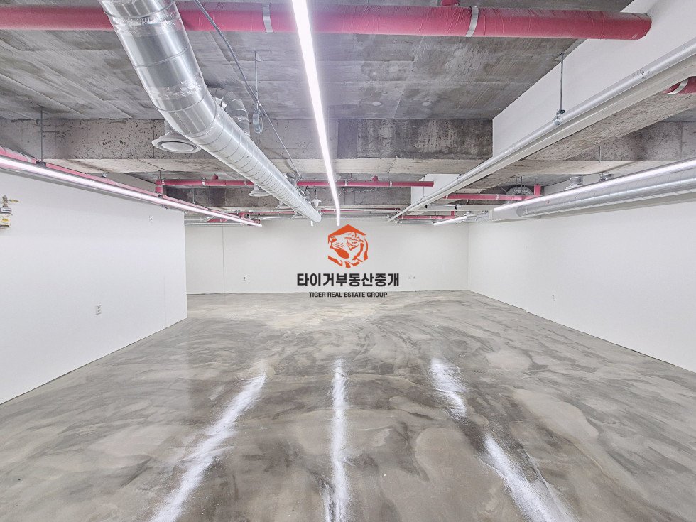사진 9