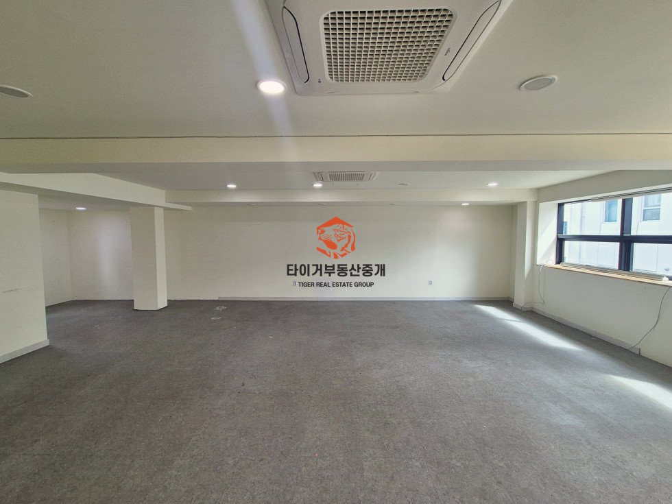 사진 9