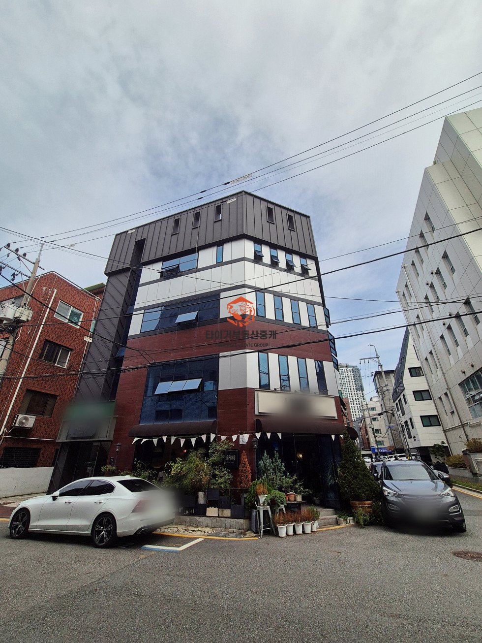 사진 12