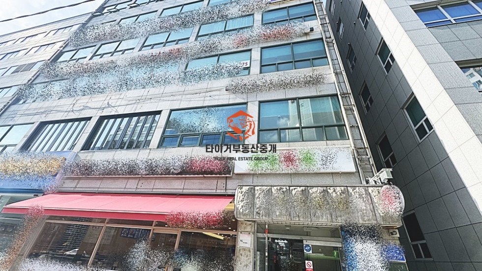 사진 8