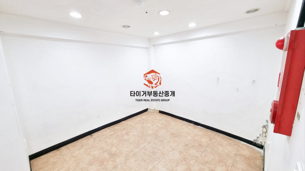 사진 6