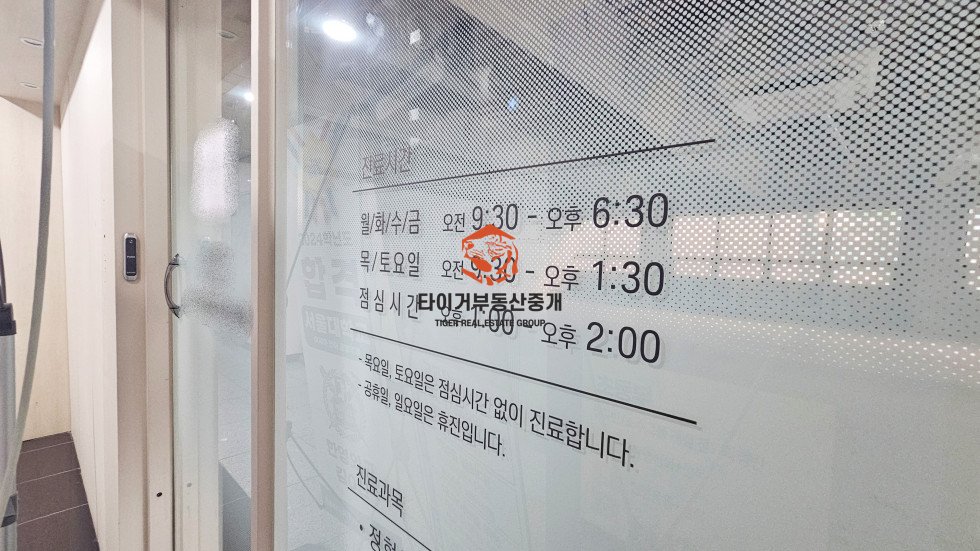사진 6