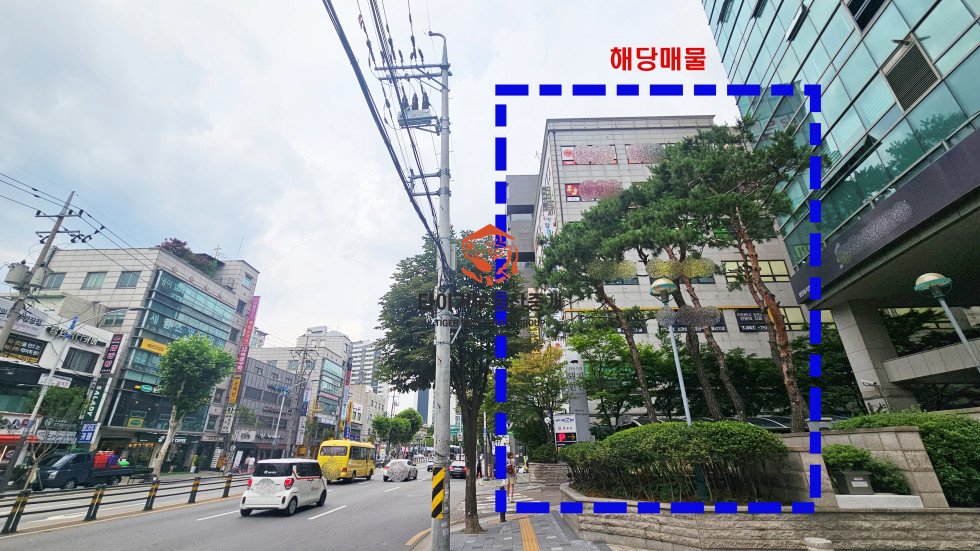 사진 12