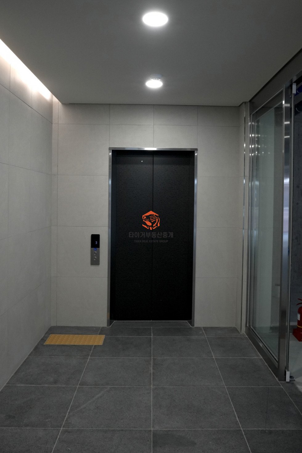 사진 5