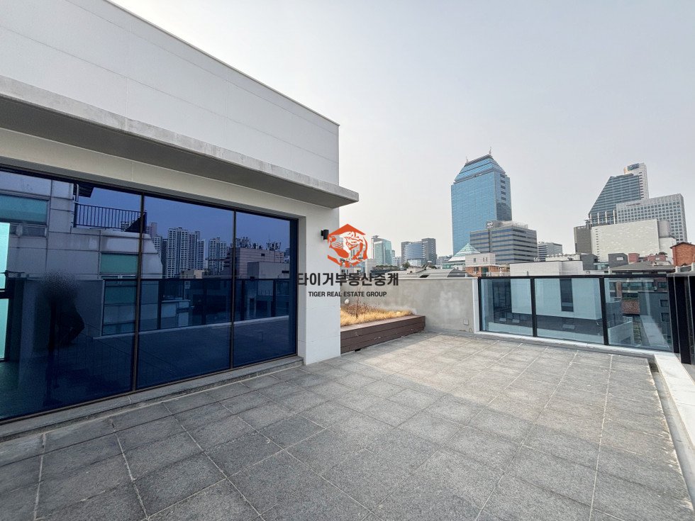 사진 15
