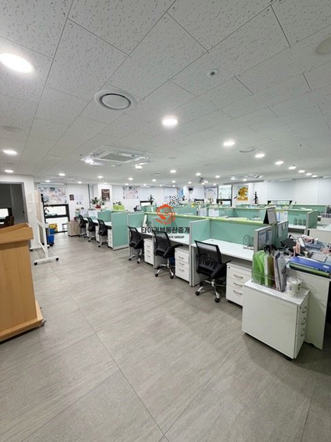 사진 6
