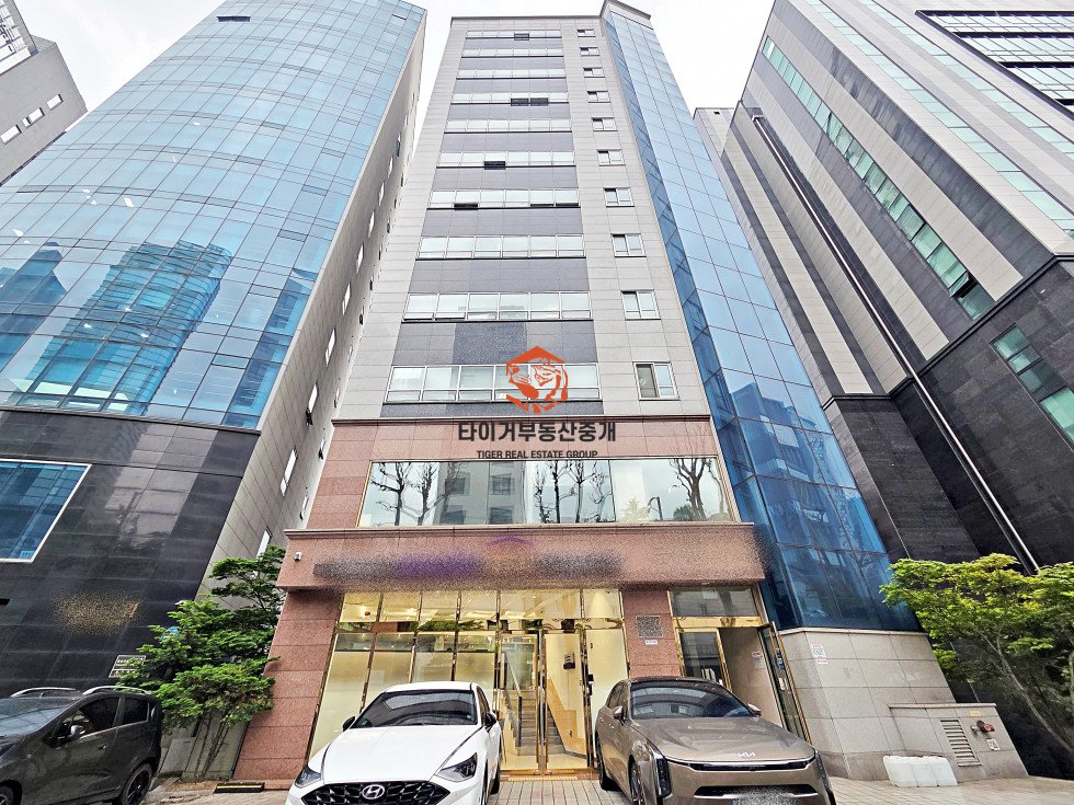 사진 15