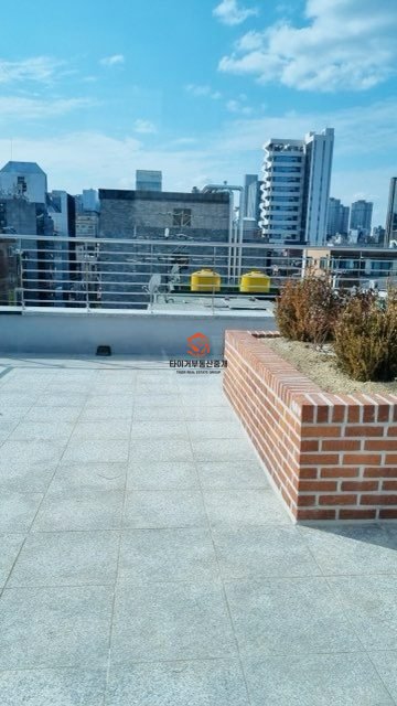 사진 3