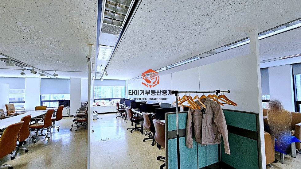 사진 6