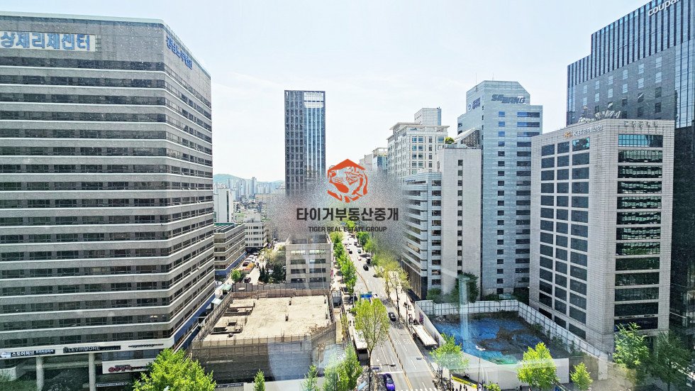 사진 5