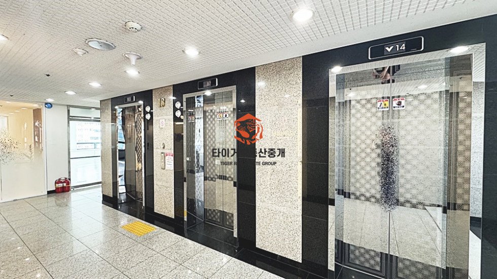 사진 9