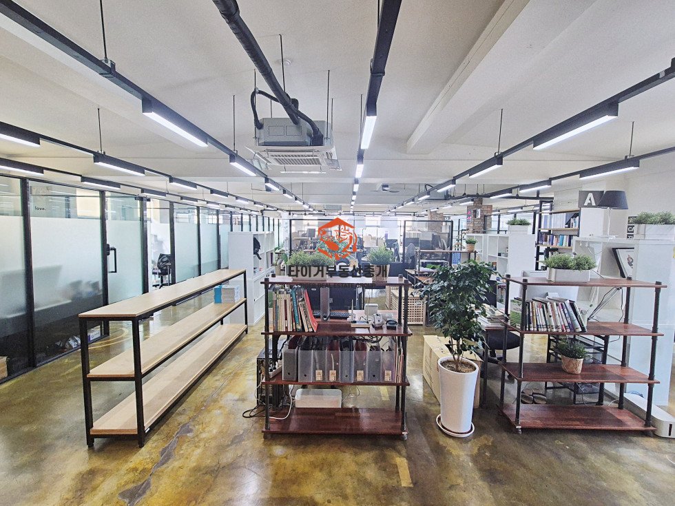 사진 6