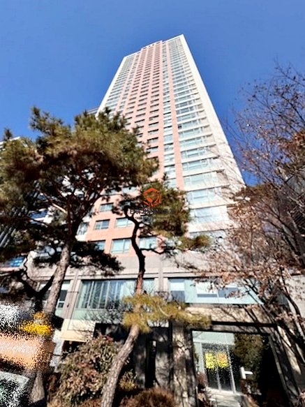 사진 7