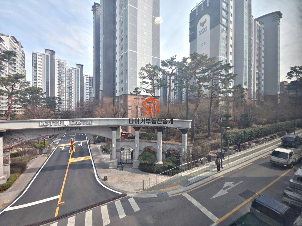사진 15