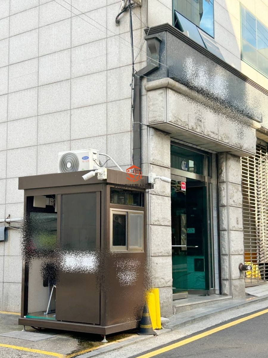 사진 10