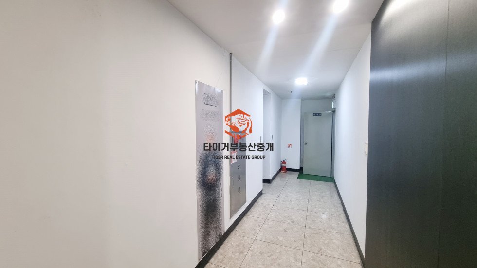 사진 11