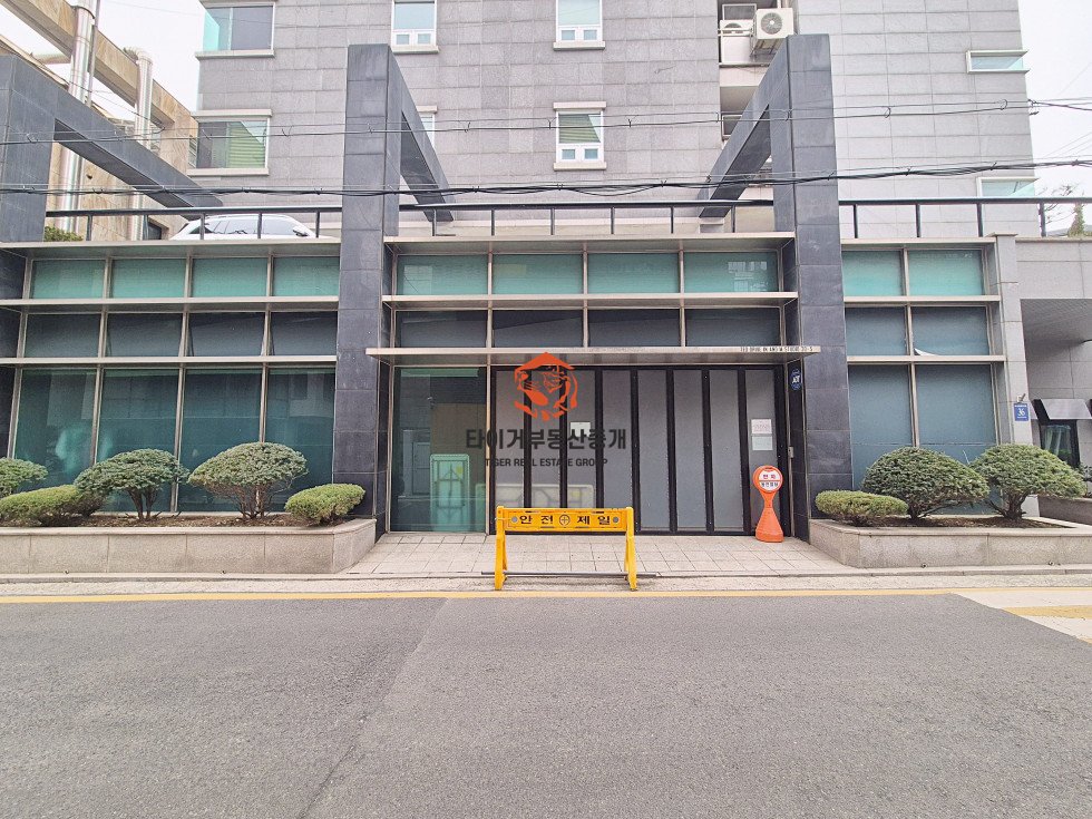 사진 11