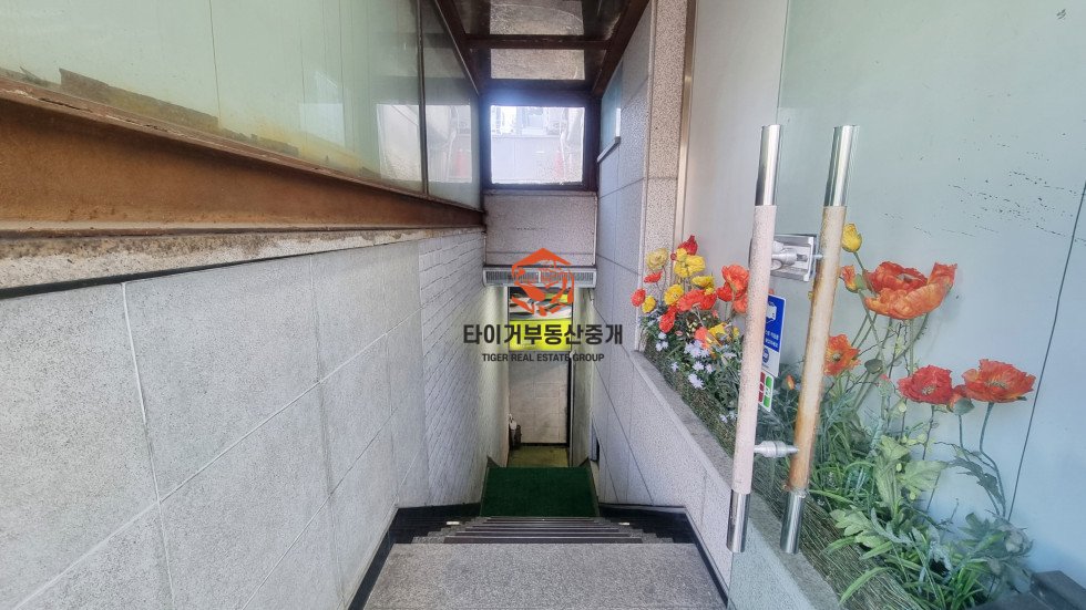 사진 11