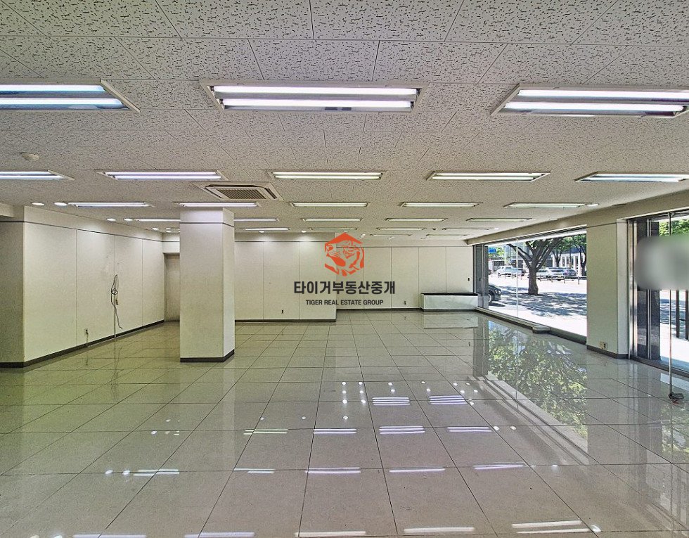 사진 5